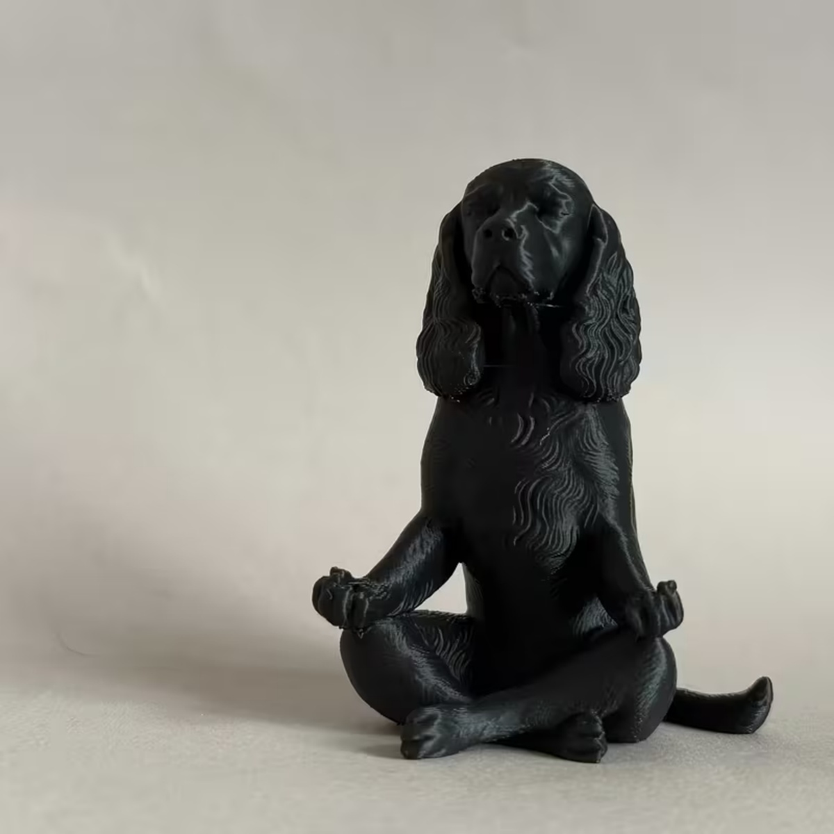Neueste 3D-Gedruckte Schwarze  – Yoga Fitness Model Bewertung und Preis