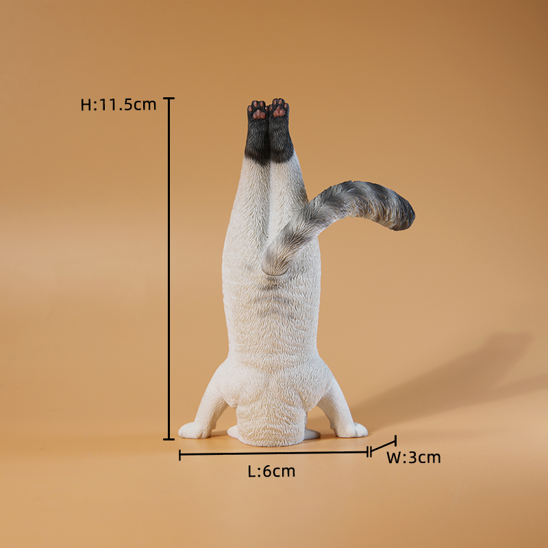 Mini-Simulations-Fitness-Katze – Yoga In Fitness First Bewertung und Preis