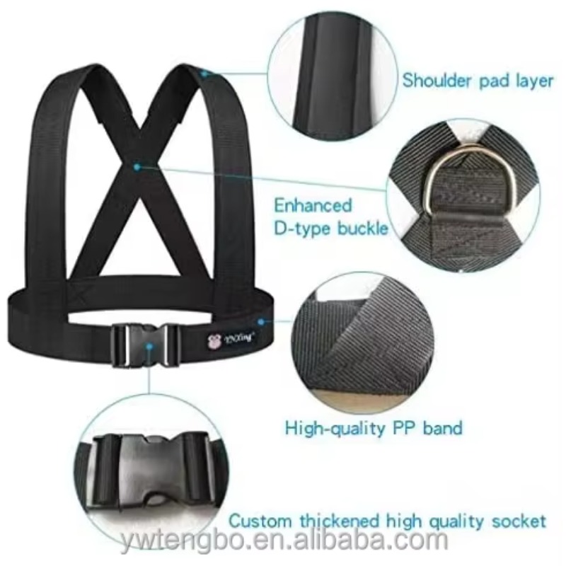 Doppel-Widerstandsband aus Lat – Resistance Bands Bewertung und Preis